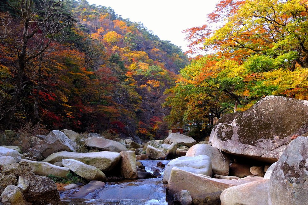 Chùa Haeinsa - Nơi Lưu Giữ Báu Vật Phật Giáo Ngàn Năm