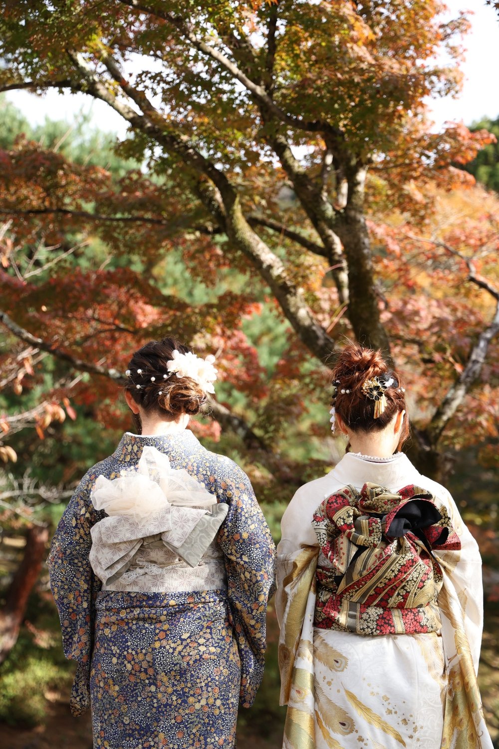 紅葉の京都で着物体験──清水寺近くで過ごす特別な一日【体験レポート】 着物　女性　紅葉　後ろ姿