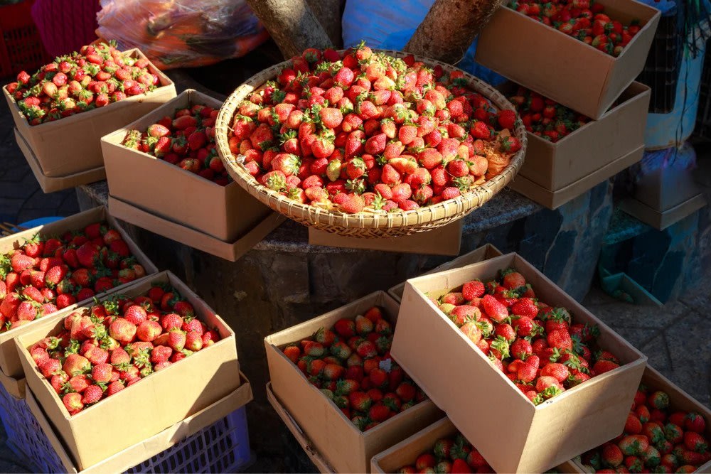 Mua Quà Lưu Niệm Tại Chùa Linh Phước 