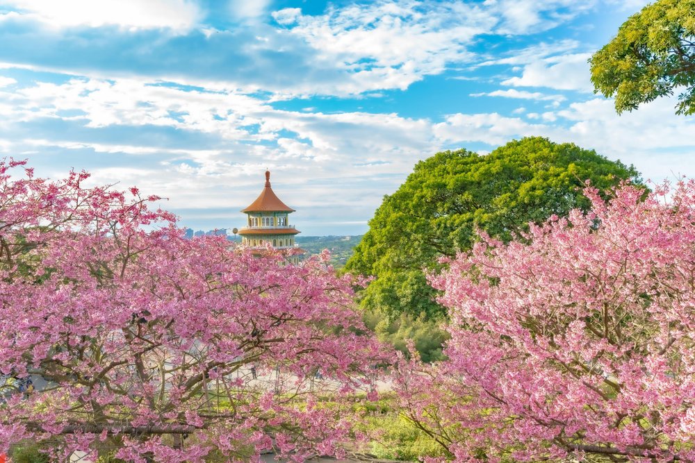 Các Đồ Vật Bị Cấm Khi Nhập Cảnh Đài Loan - Kinh Nghiệm Rút Ra Sau Chuyến Đi