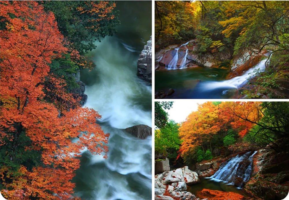 巴中 光雾山 秋季