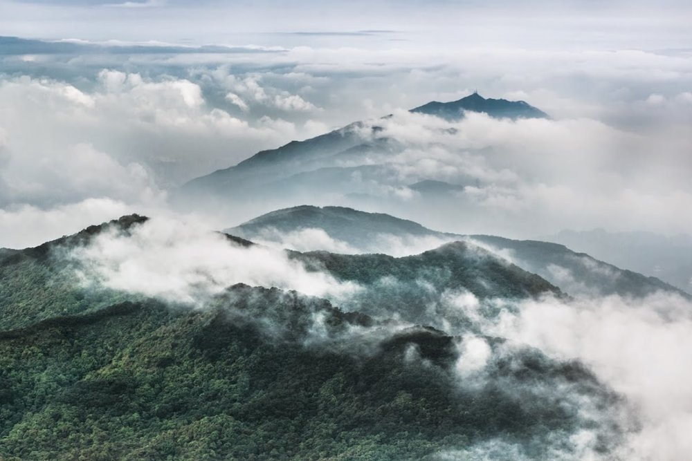 Đỉnh Tai Mo Shan - Nóc Nhà Của Hồng Kông