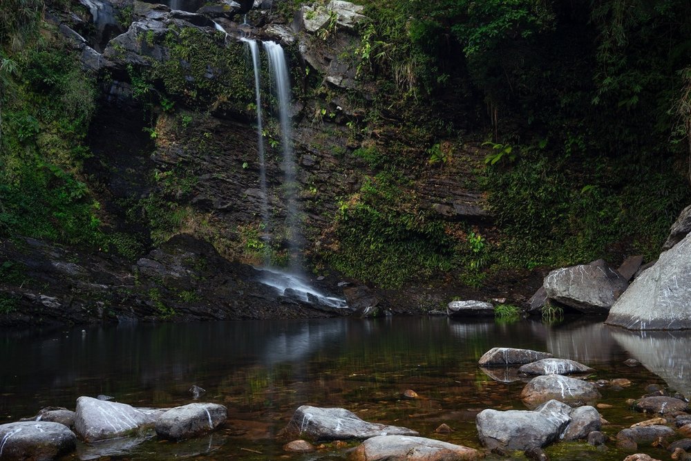 Công Viên Quốc Gia Plover Cove - Trekking Ven Hồ, Chill Giữa Núi Rừng