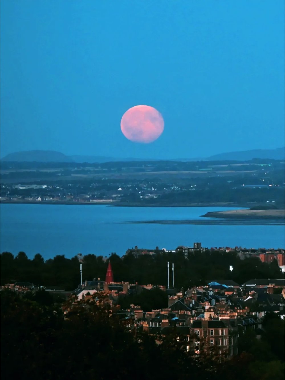 图片来源:@胡大球Henry