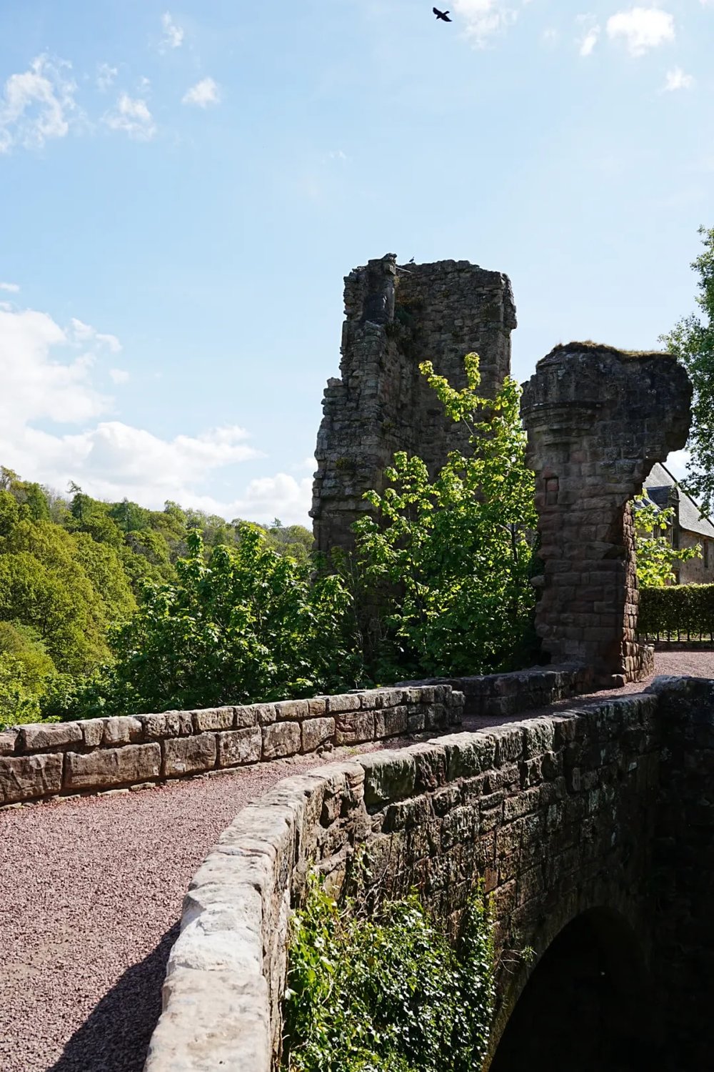 图片来源:@咕噜噜Soda