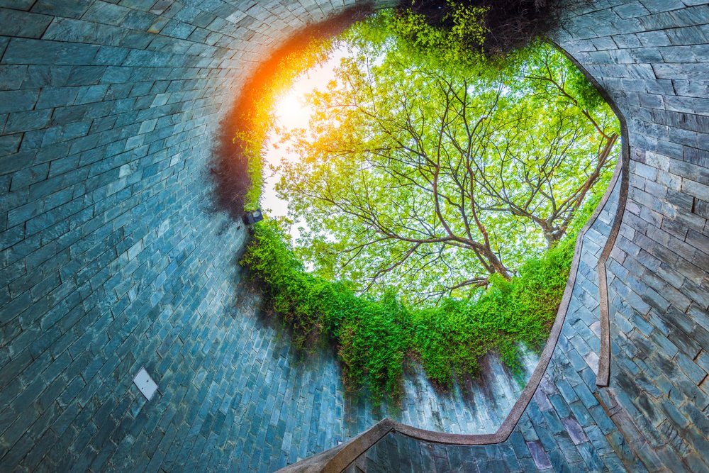 Fort Canning Park: Ốc Đảo Lịch Sử, Tuyệt Tác "Check-in" Giữa Lòng Singapore