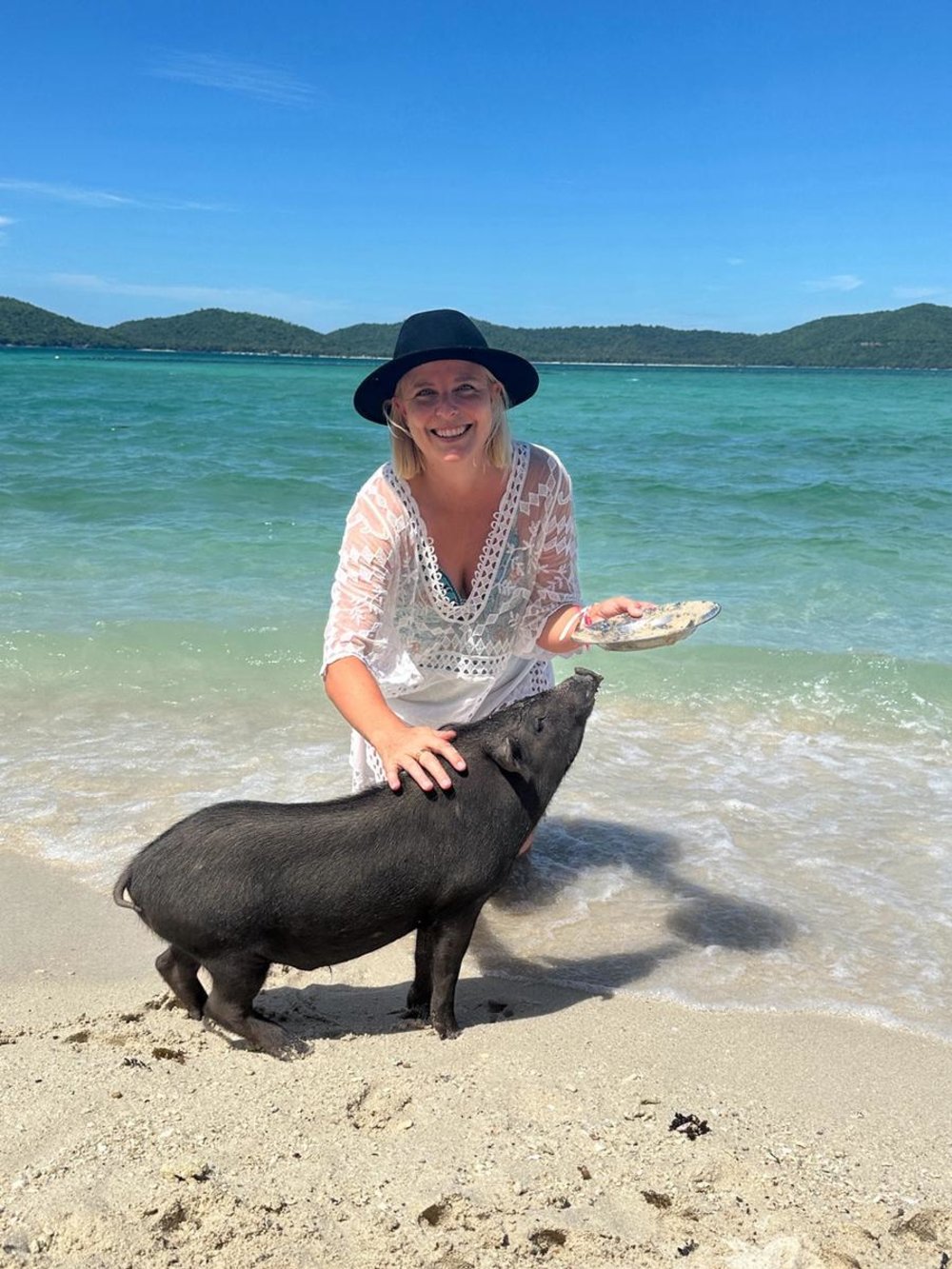 The pigs on Koh Mudsum are quite friendly with tourists | Photo by Klook User