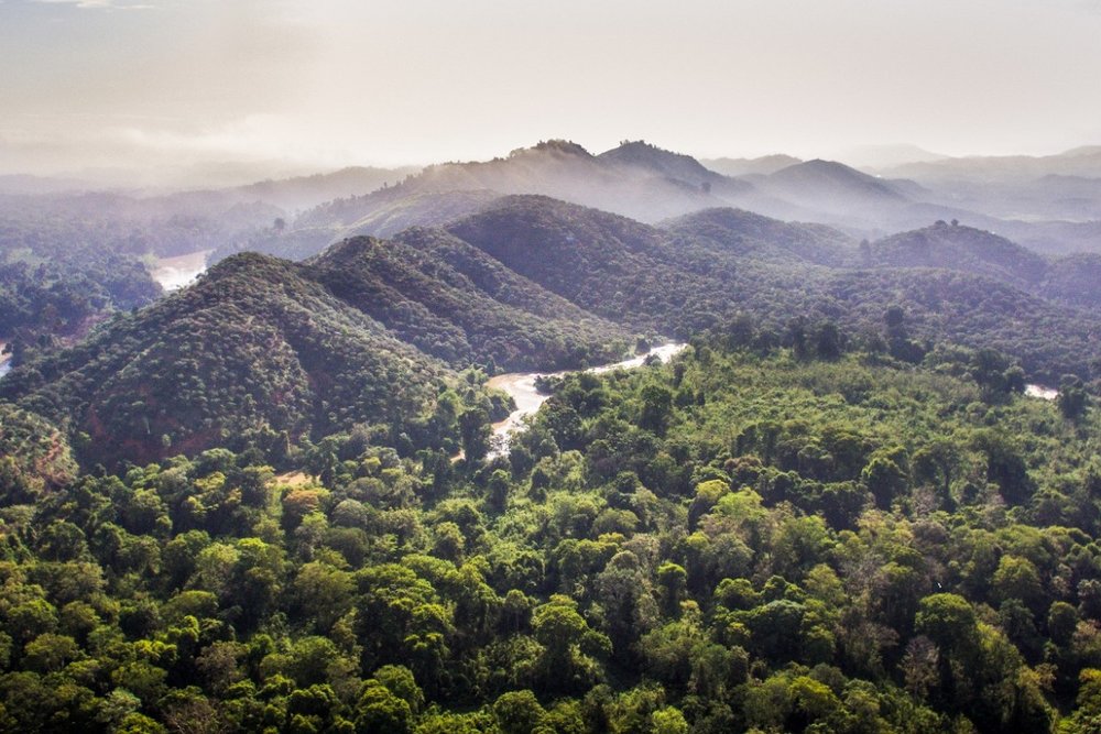 Khám Phá Hệ Sinh Thái Rừng Và Biển Phong Phú