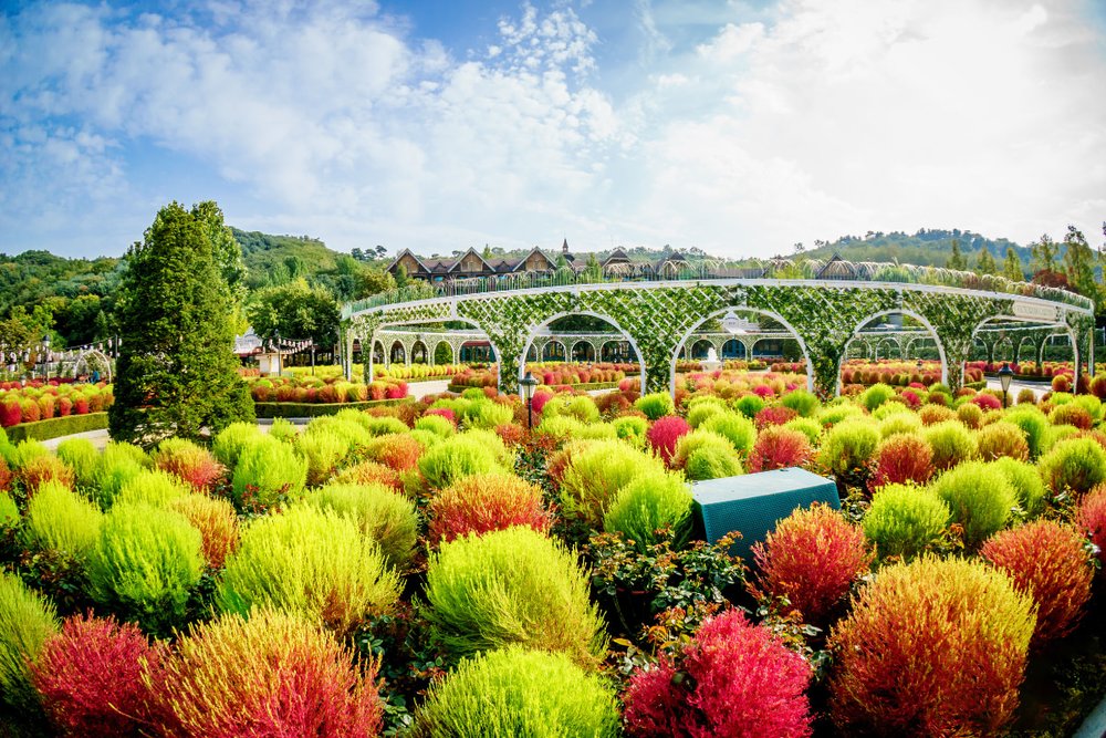 Công Viên Everland