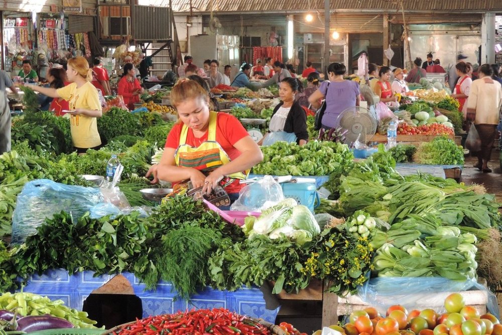 Buổi sáng: Thảnh Thơi Trước Giờ Chia Tay