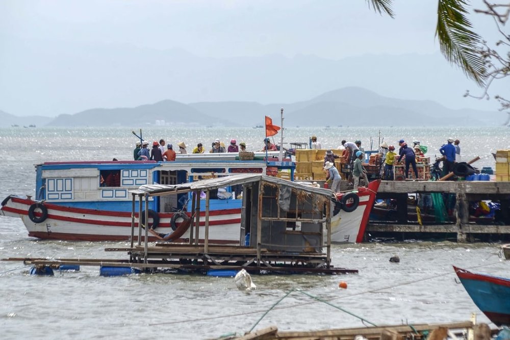 Xuất Phát: Hành Trình Ra Đảo Điệp Sơn 