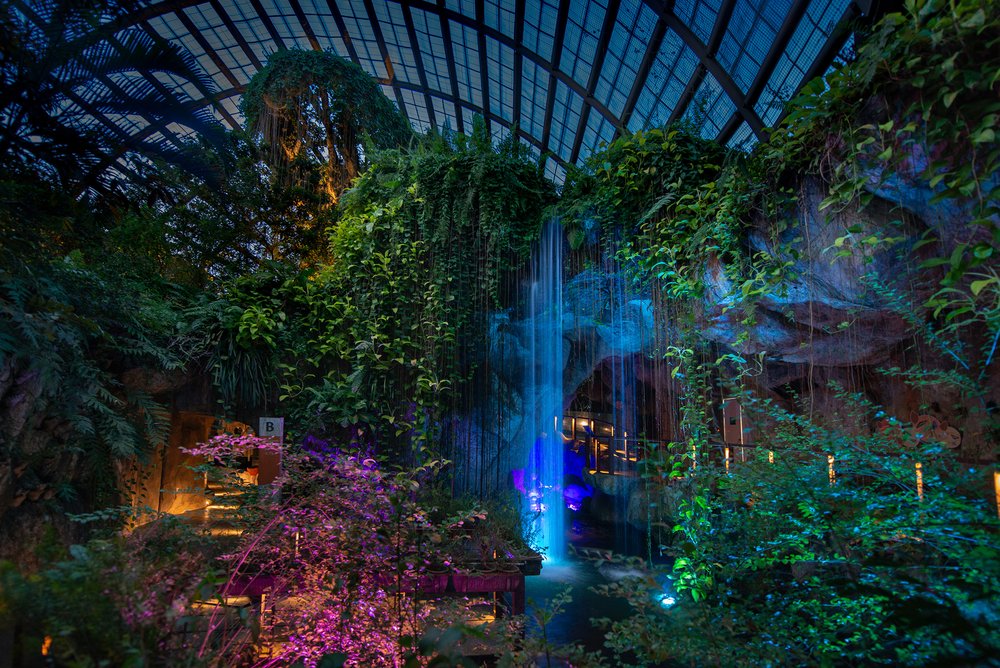 Vườn Bướm Entopia: Đắm Mình Giữa Hàng Nghìn Con Bướm