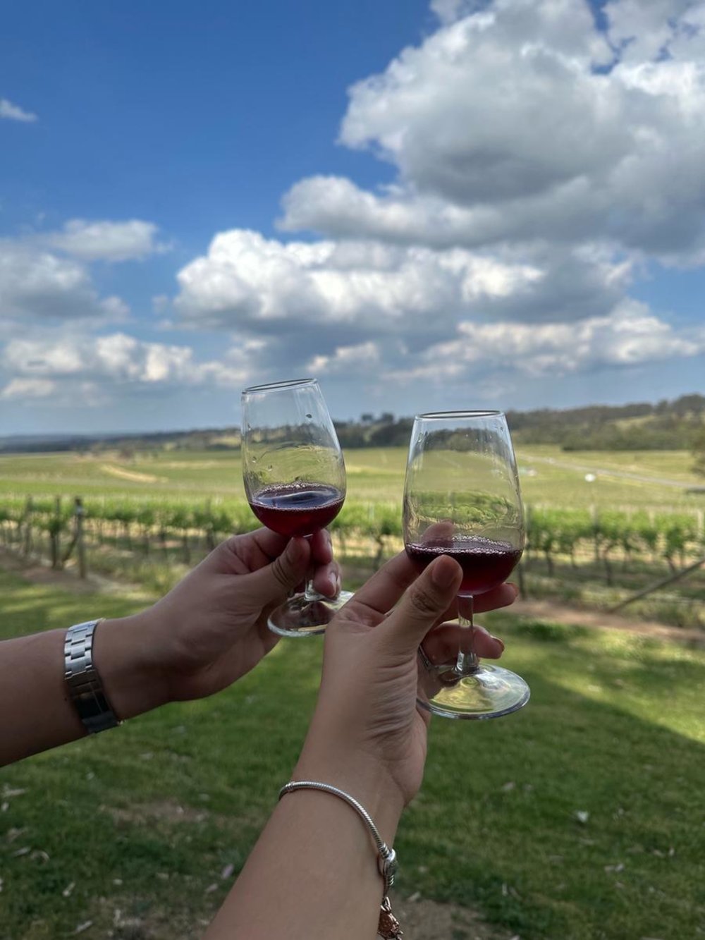 Photo caption + alt text: Great sips and good views