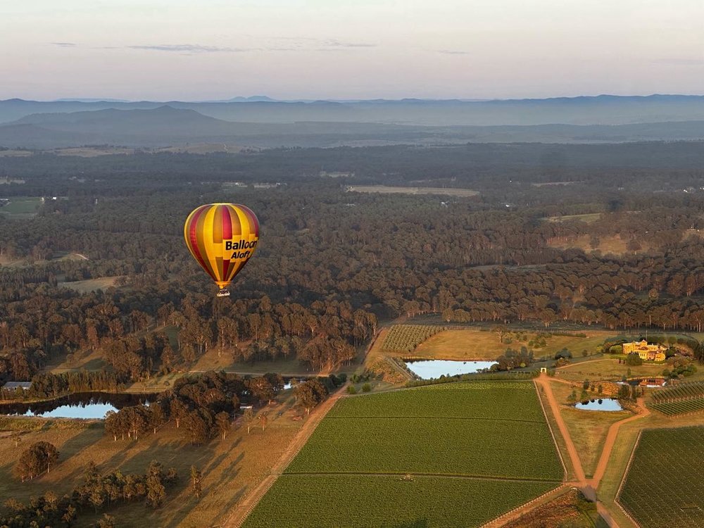 Views of Pokolbin while on a hot air balloon