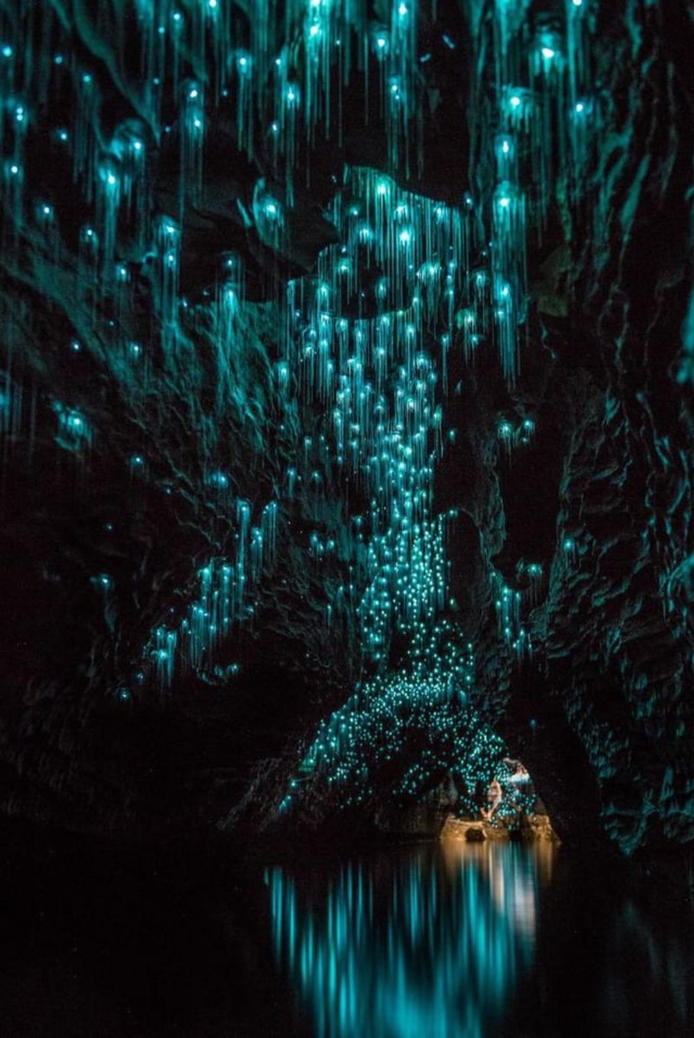 The mesmerizing Glowworm Cave