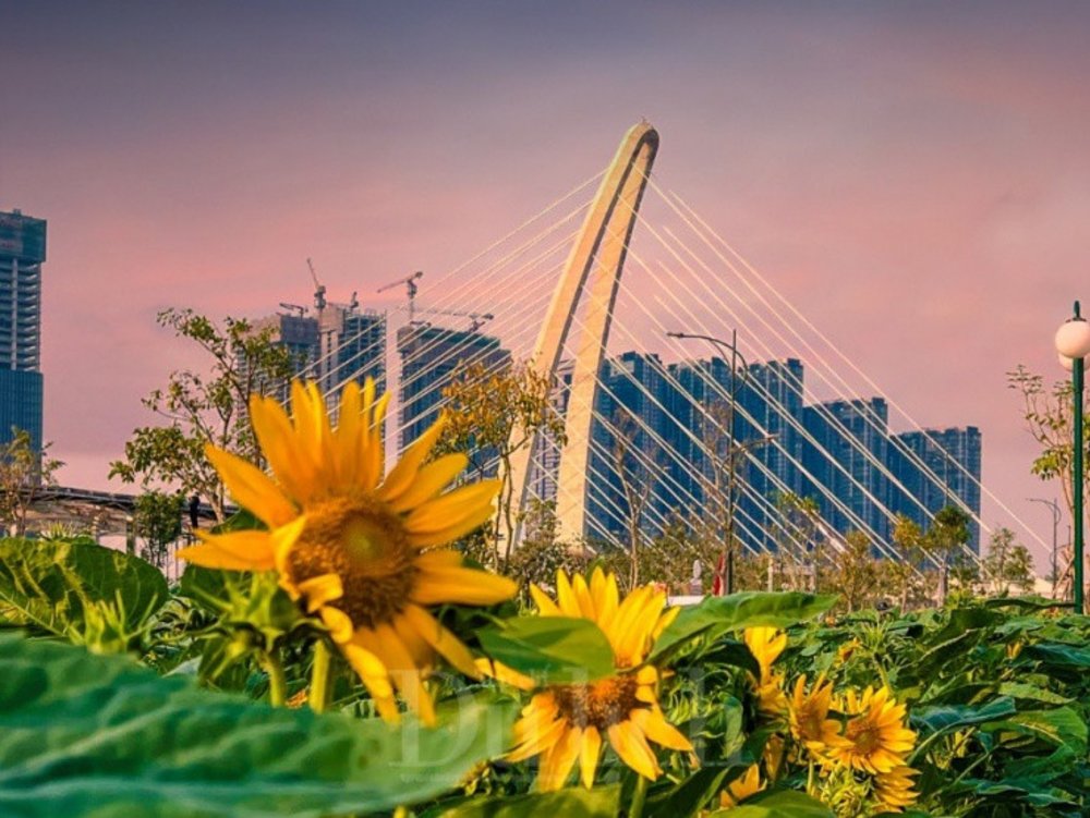  Tản Bộ Ngắm Cảnh – Góc Nhìn Mới Cực “Chill” Về Sài Gòn