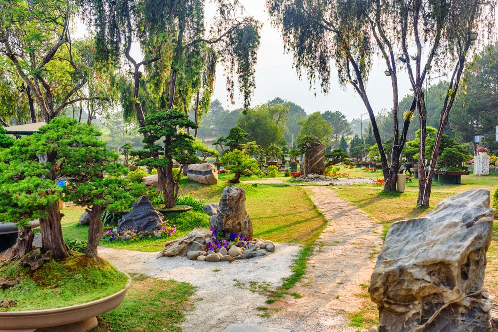 vuon-hoa-da-lat