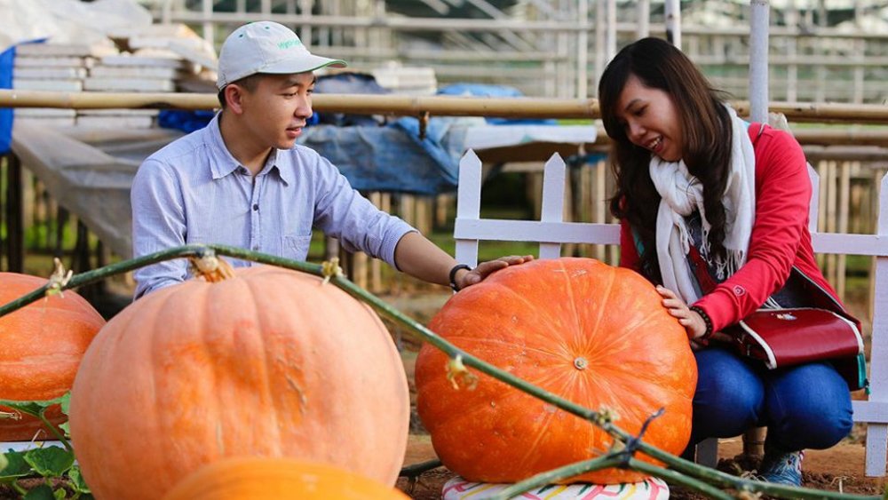 vuon-bi-ngo-khong-lo-da-lat