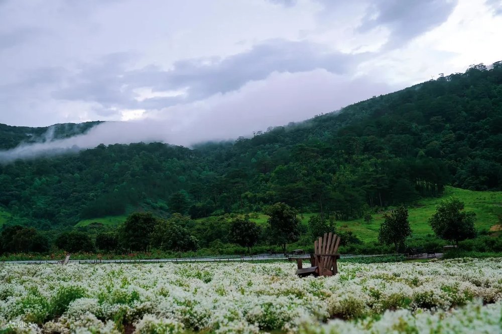 địa điểm du lịch đà lạt