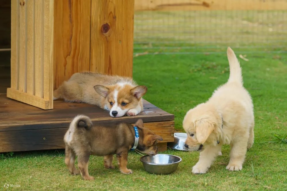 địa điểm du lịch đà lạt