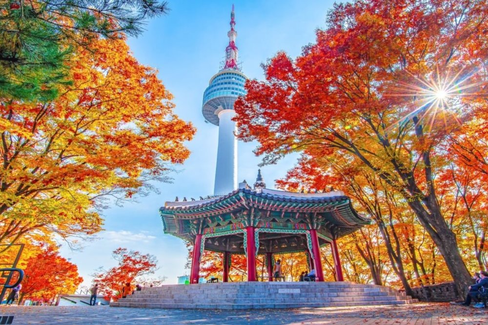 Sáng - Cảm Nhận Làn Sóng Mới Từ Seoul