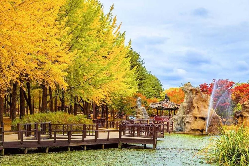 Sáng: Khởi Đầu Ngày Mới Với Đảo Nami - Vùng Đất Cổ Tích