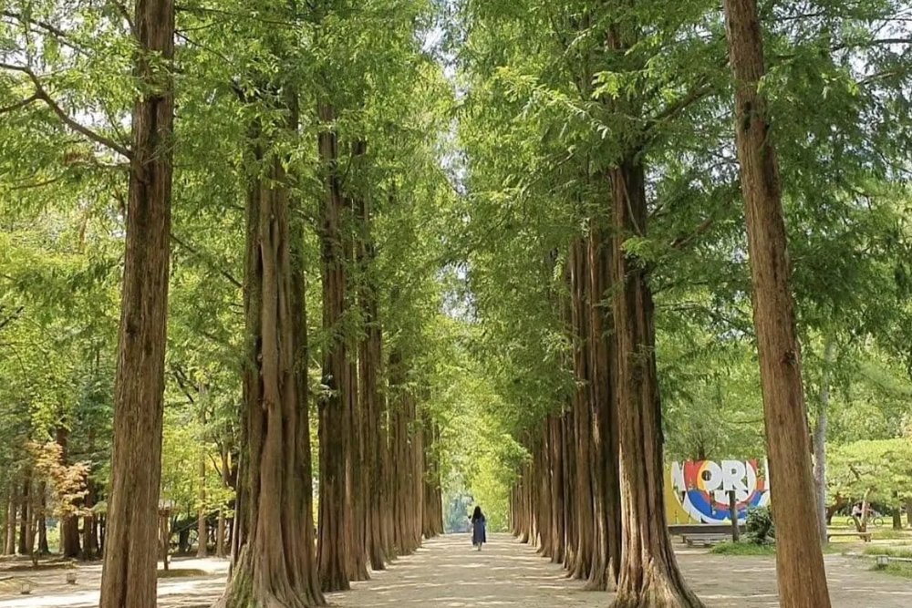 Trưa: Khám Phá Những Điểm Check-In Huyền Thoại