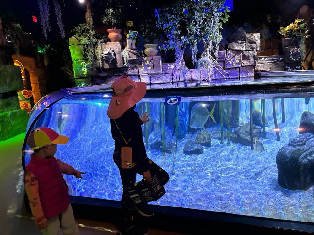  Children viewing fish tanks at SEA LIFE Aquarium in LEGOLAND California.