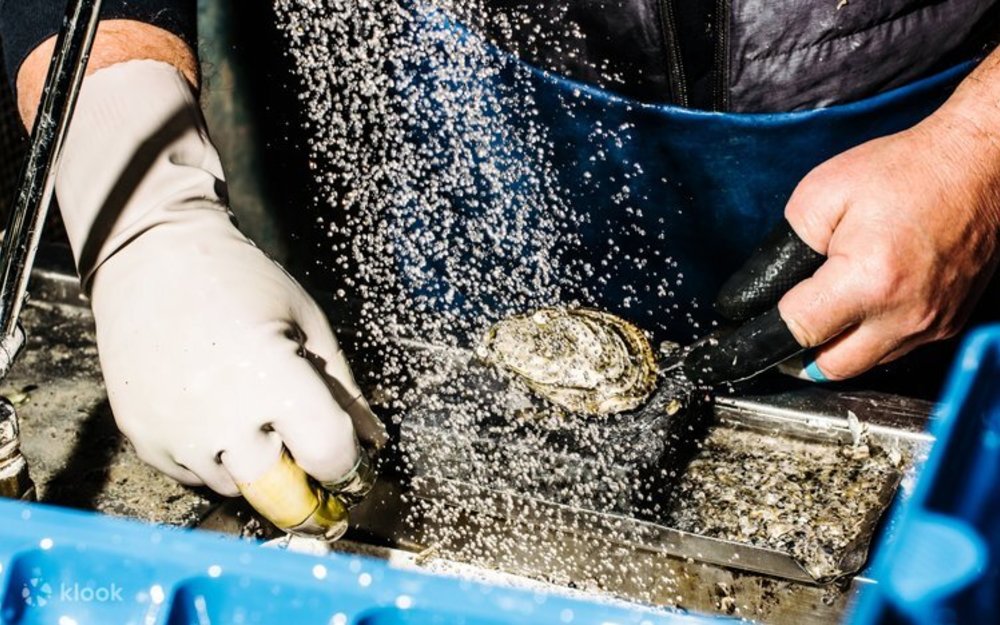Oysters being prepared at the Sydney Fish Market