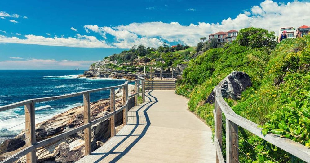 Trail path of Bondi to Coogee Coastal Walk
