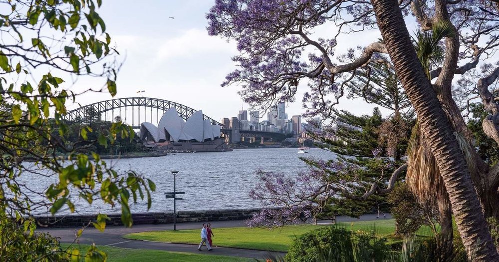 A gorgeous view of Sydney Harbour from the Royal Botanic Garden