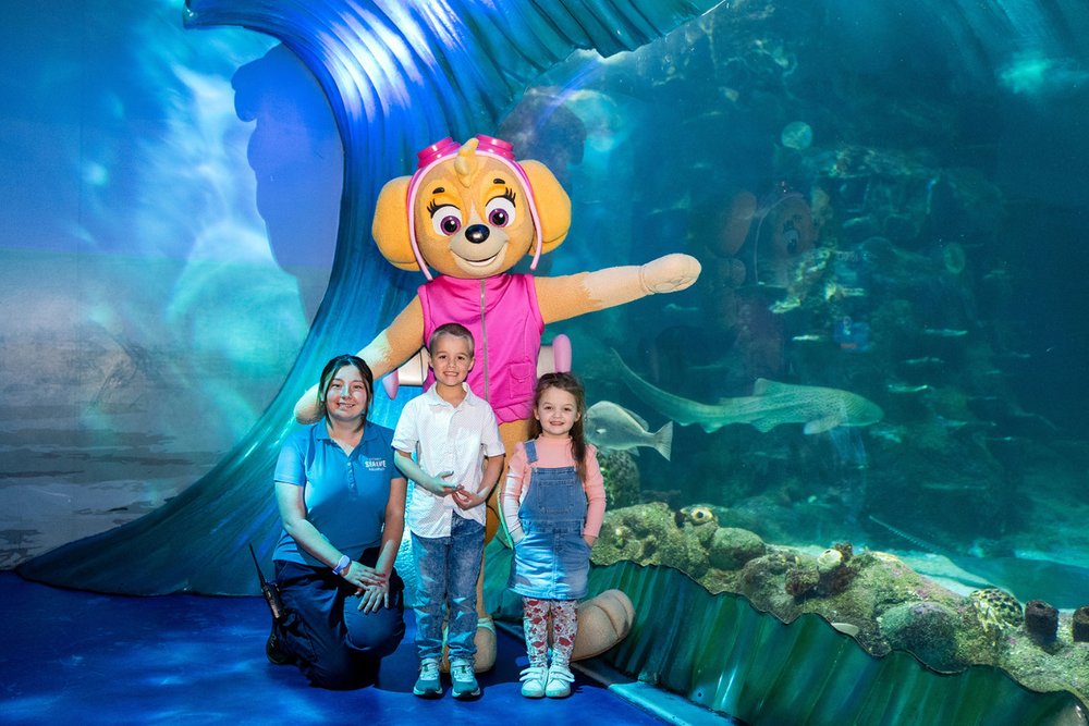 SEA LIFE Sydney Aquarium Có Gì Chơi? Những Khu Vực #teamKlook Không Nên Bỏ Lỡ