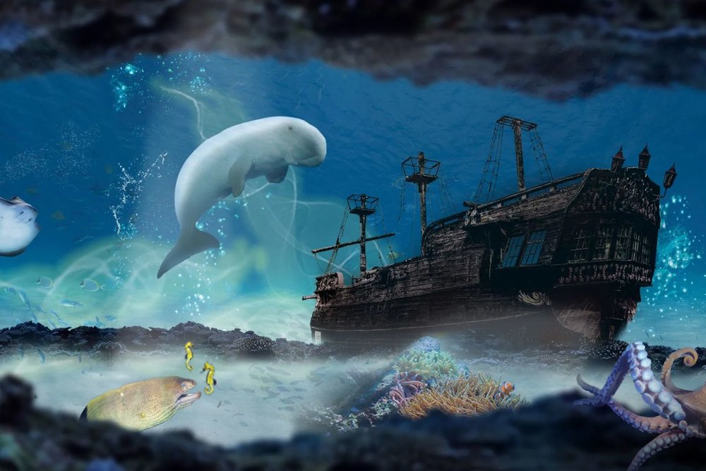 South Coast Shipwreck - Khởi Đầu Hành Trình Giữa Con Tàu Đắm Bí Ẩn