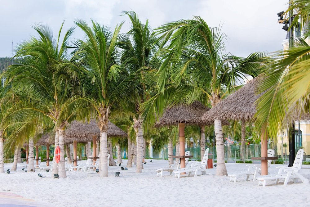 Bãi Biển Mộng Mơ – Chill Hết Nấc Giữa Thiên Nhiên