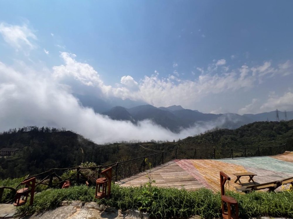 Công Viên Hoa Pơ Mu Ở Đâu Tại Sapa? Có Gì Hấp Dẫn?