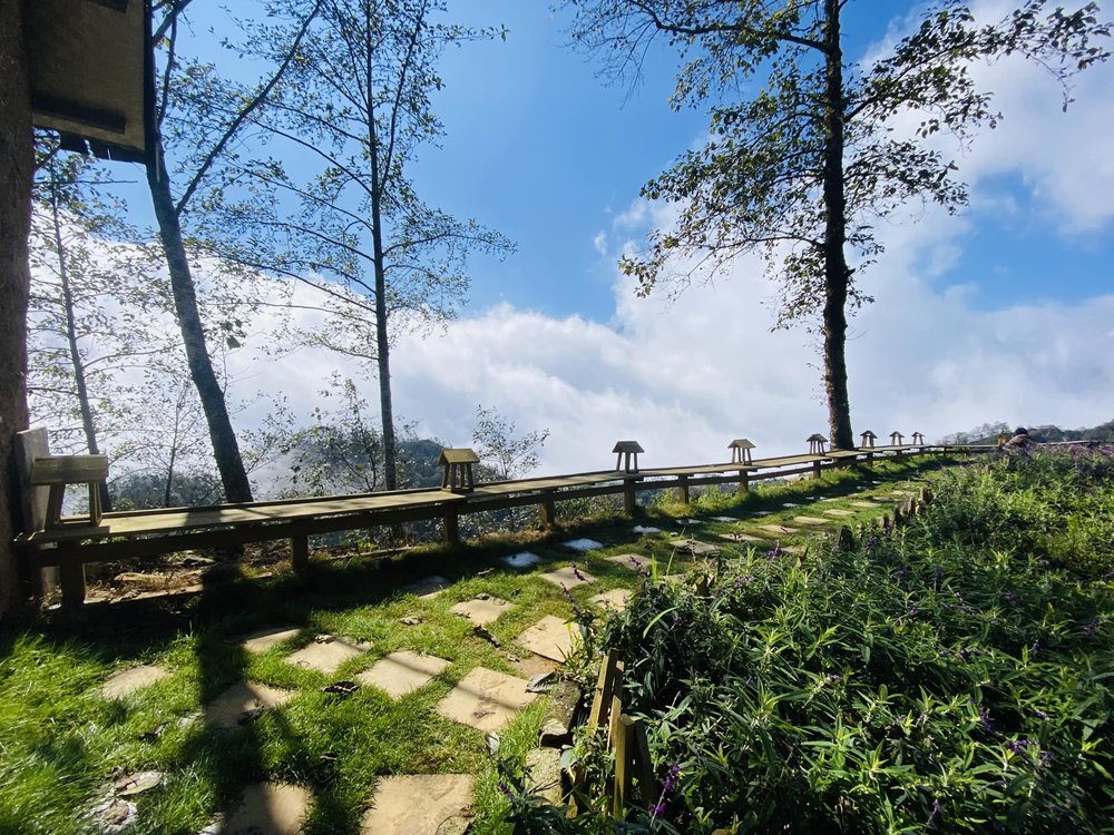 Kinh Nghiệm Tham Quan Pơ Mu Dành Cho Du Khách Lần Đầu