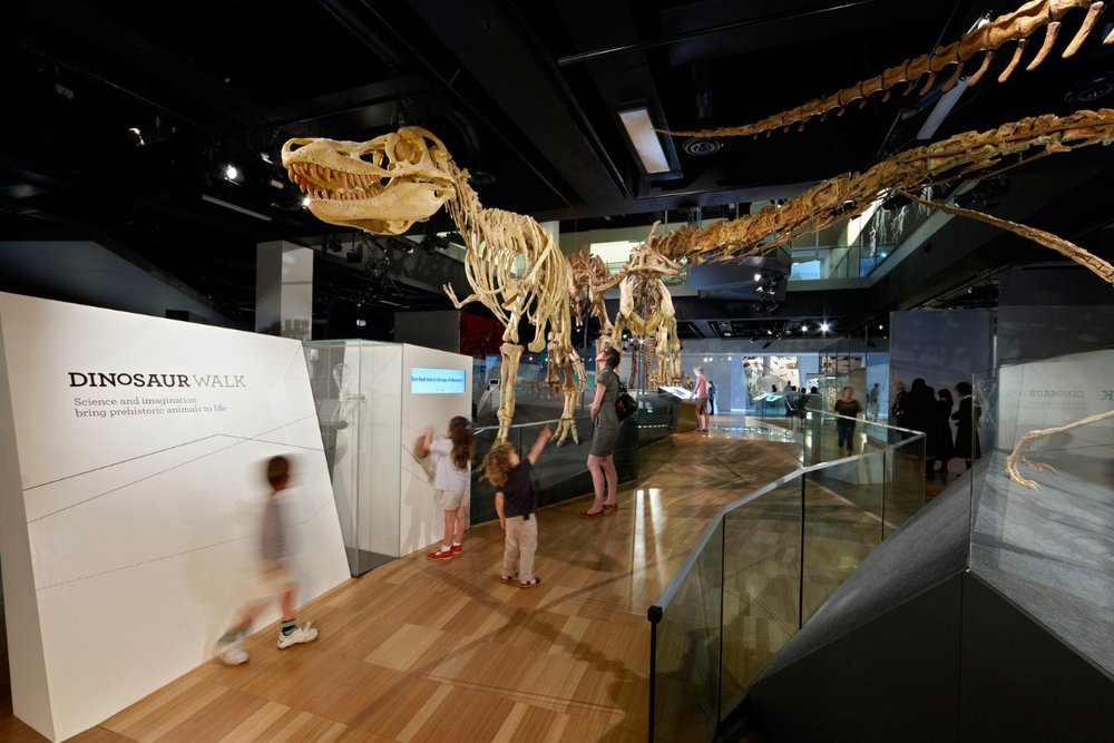 Bảo Tàng Melbourne - Nơi Lưu Giữ Linh Hồn Của Thành Phố