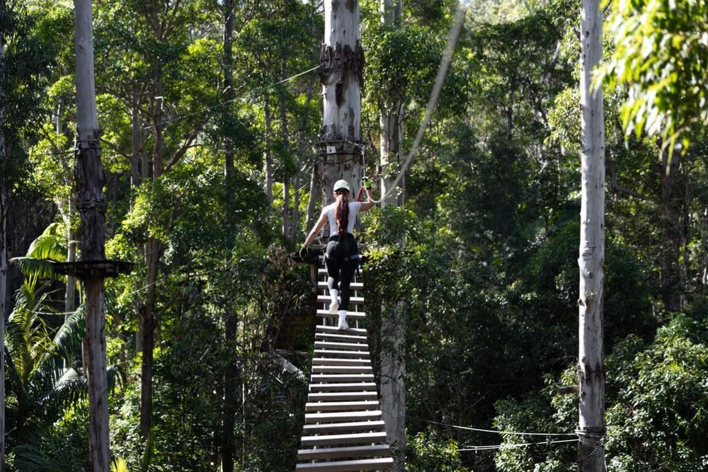 TreeTop Challenge Núi Tamborine - Hành Trình Trên Không Dành Cho Tín Đồ Cảm Giác Mạnh