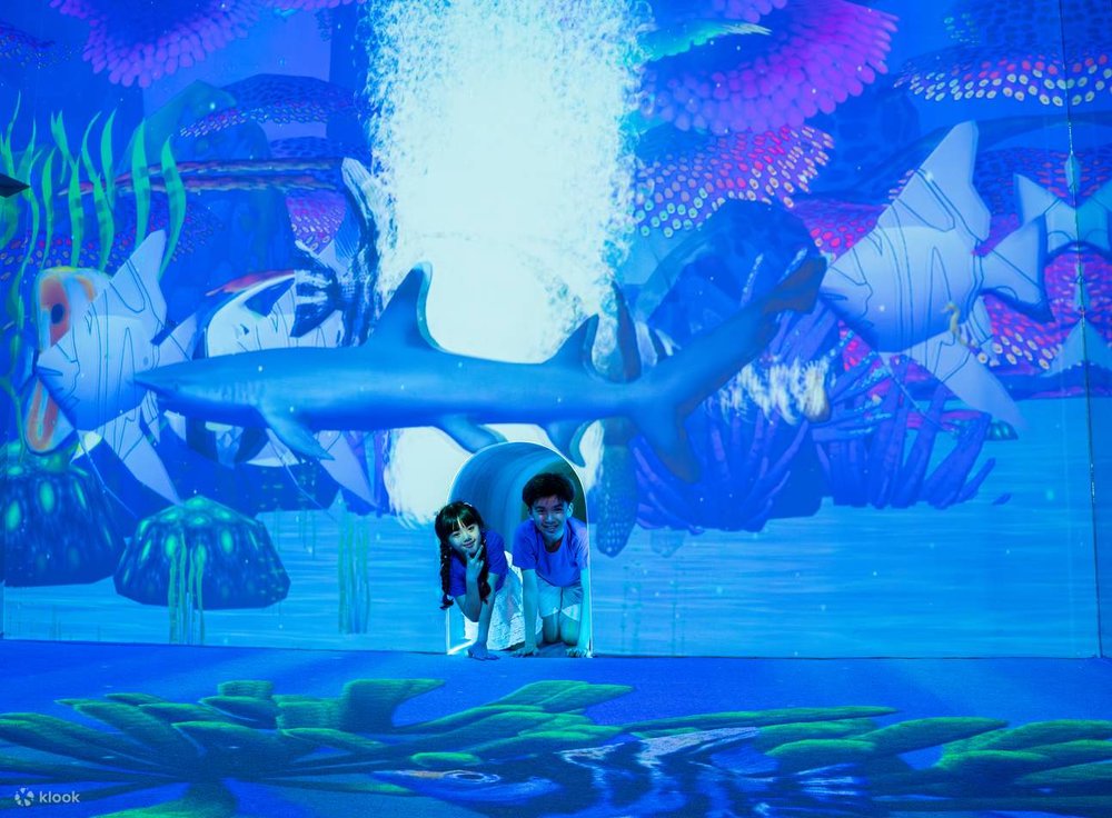 Giá Vé Light City Bao Nhiêu?