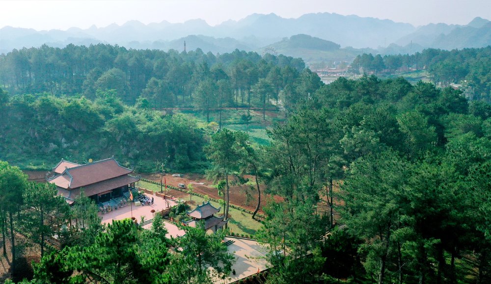 Rừng Thông Bản Áng