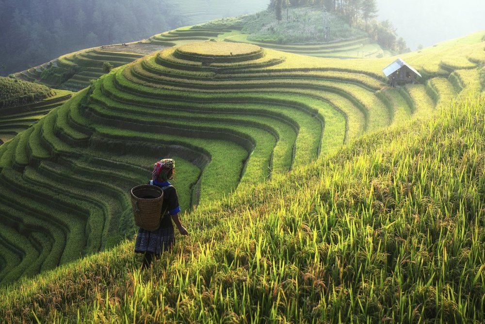 Tạm Biệt Sa Pa Và Về Hà Nội