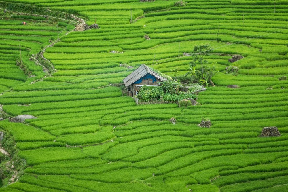 Chi Phí Du Lịch Sapa 4 Ngày 3 Đêm Tham Khảo