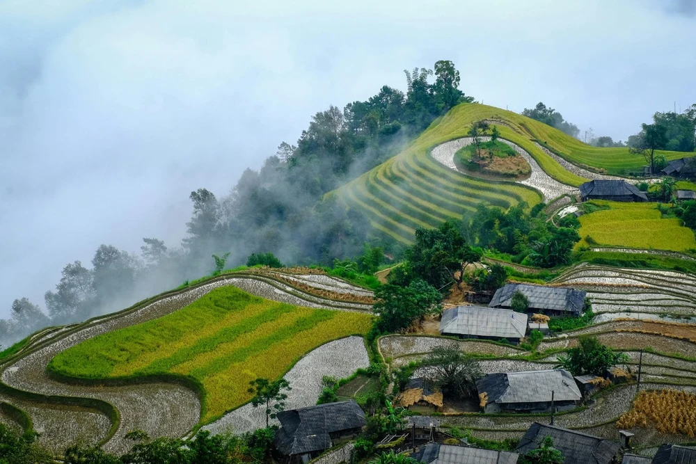 Nền ảnh