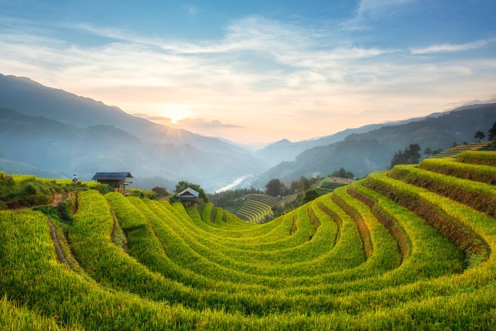 Mù Cang Chải - Bản Tình Ca Mùa Vàng Giữa Núi Rừng Tây Bắc