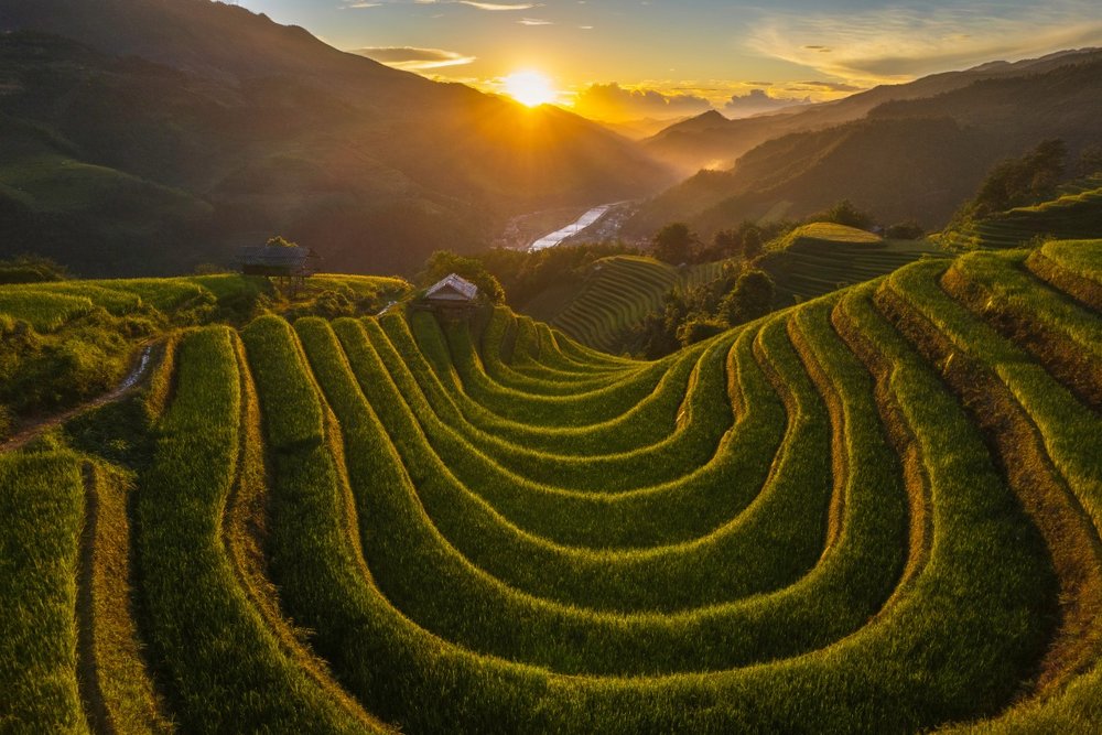 Mù Cang Chải - Bản Tình Ca Mùa Vàng Giữa Núi Rừng Tây Bắc