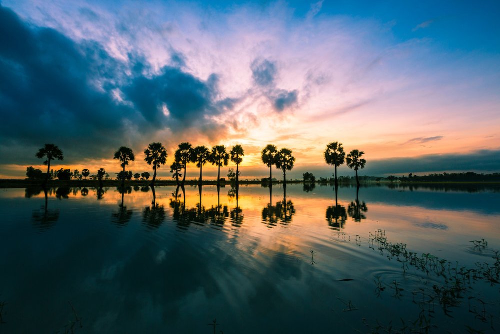 Miền Tây - Miền Sông Nước Bình Yên Và Chân Tình