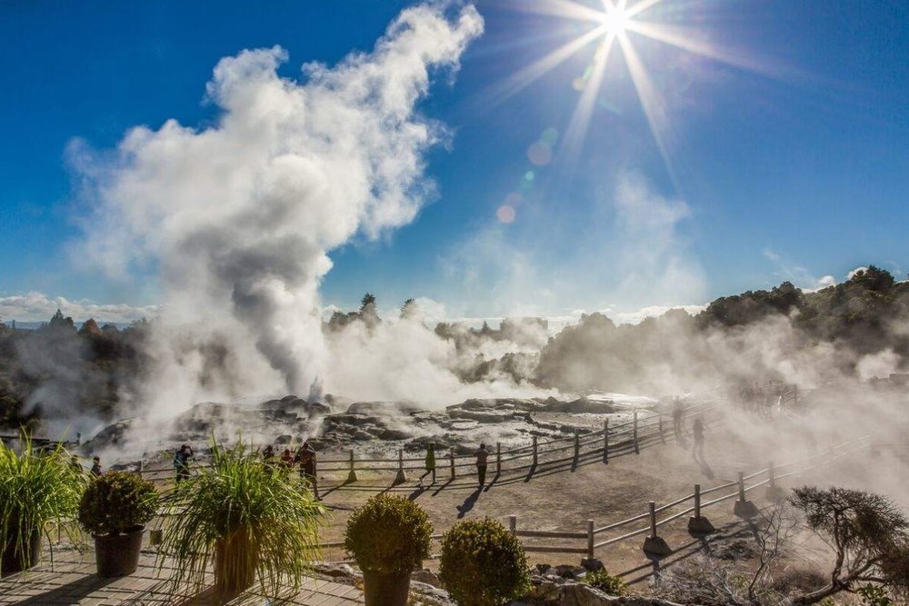 Thung Lũng Địa Nhiệt Te Puia - Từ Auckland Đến Trái Tim Rotorua