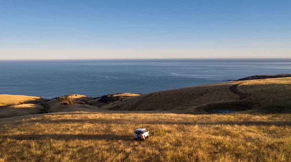 南澳洲, 阿德萊德景點, 袋鼠島