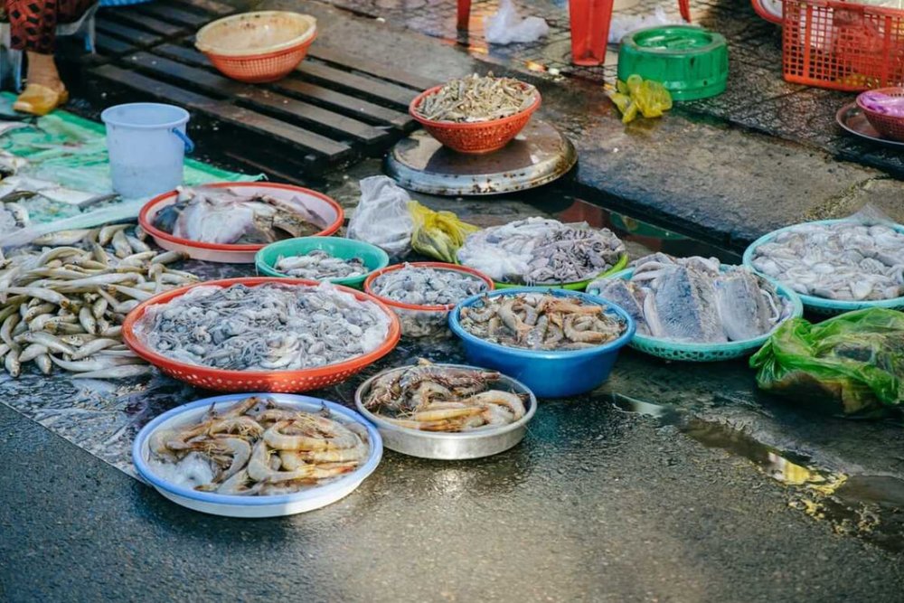 Biển & Chợ Hải Sản Phước Hải - Hơi Thở Của Biển Cả