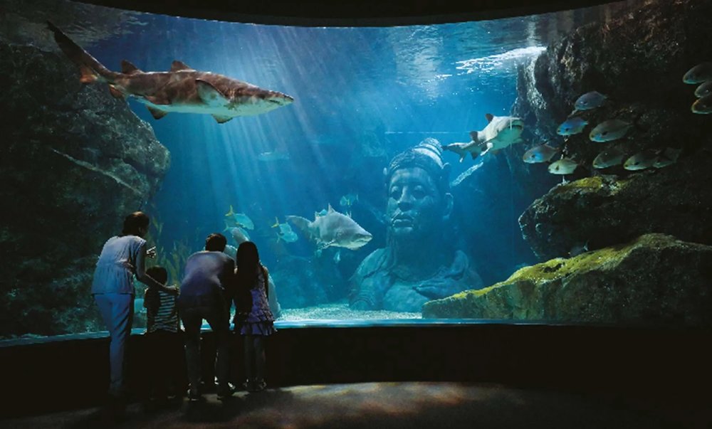 Ocean Tunnel - Trải Nghiệm Cảm Giác Đi Bộ Dưới Đáy Biển